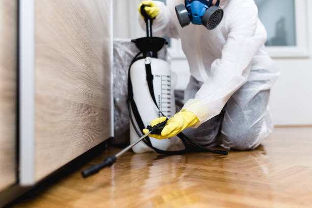 Best Mosquito Control Services  in Ahwahnee, CA