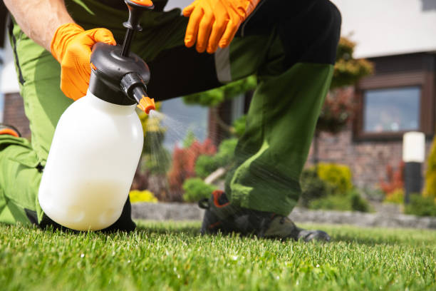 Best Emergency Pest Control  in Ahwahnee, CA
