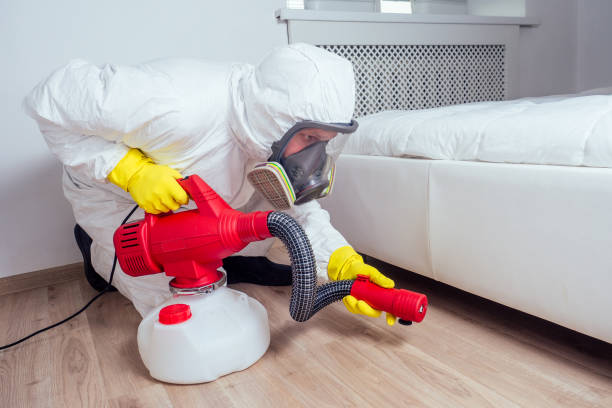 Best Affordable Exterminators  in Ahwahnee, CA