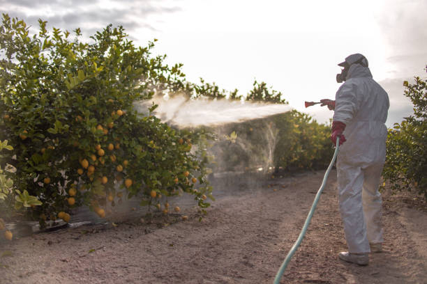 Professional Pest Control in Ahwahnee, CA