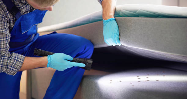 Best Commercial Pest Control Services  in Ahwahnee, CA