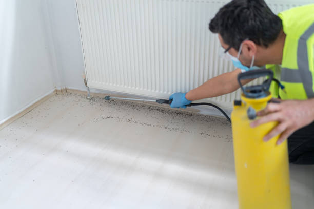 Best Wasp Removal Services  in Ahwahnee, CA